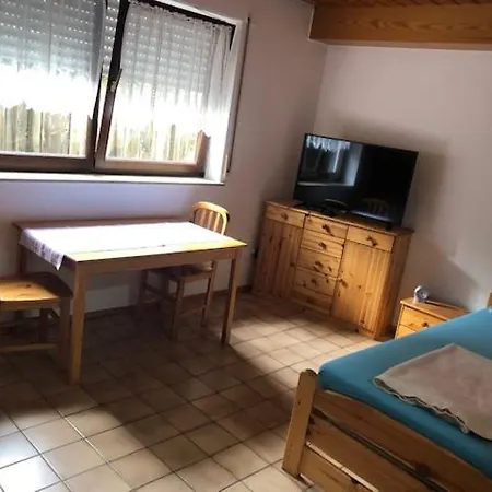 Apartment 1 Zimmer 22 Qm Neustadt-duttweiler